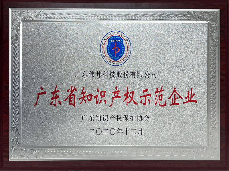 广东省知识产权示范企业
